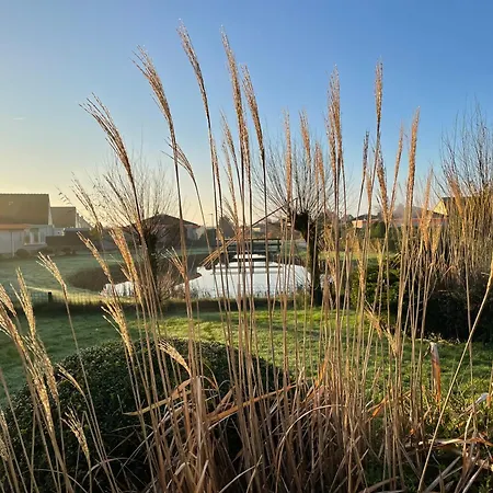 Zeester 313 Julianadorp