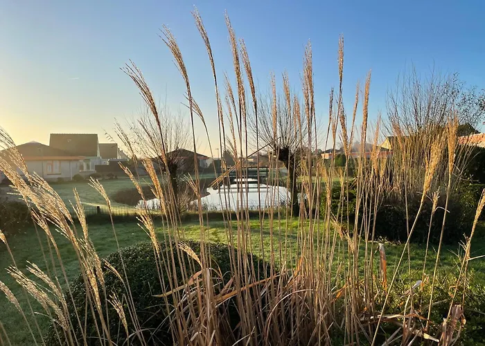 Zeester 313 Julianadorp